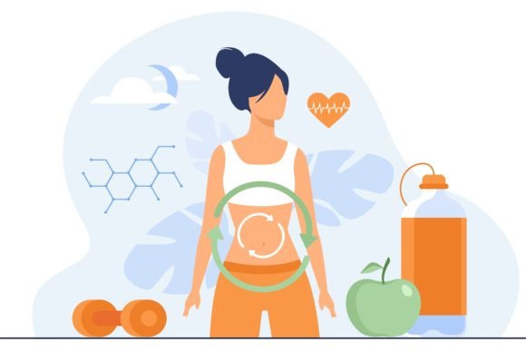 Download Metabolic Process of Woman on Diet. Dige - Diet Collection